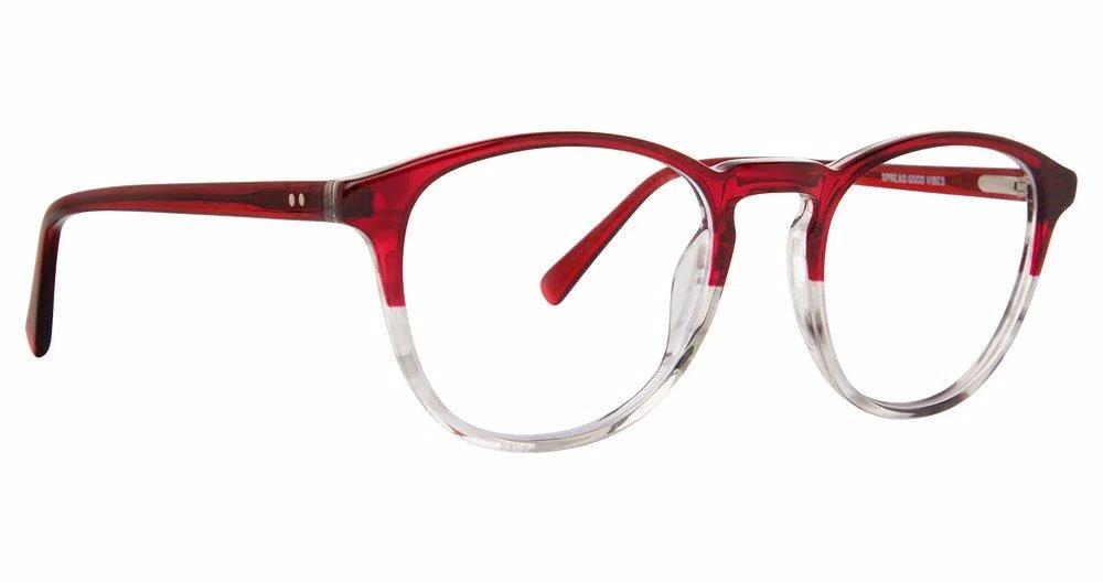 Life Is Good LGMITCH Eyeglasses - view 3